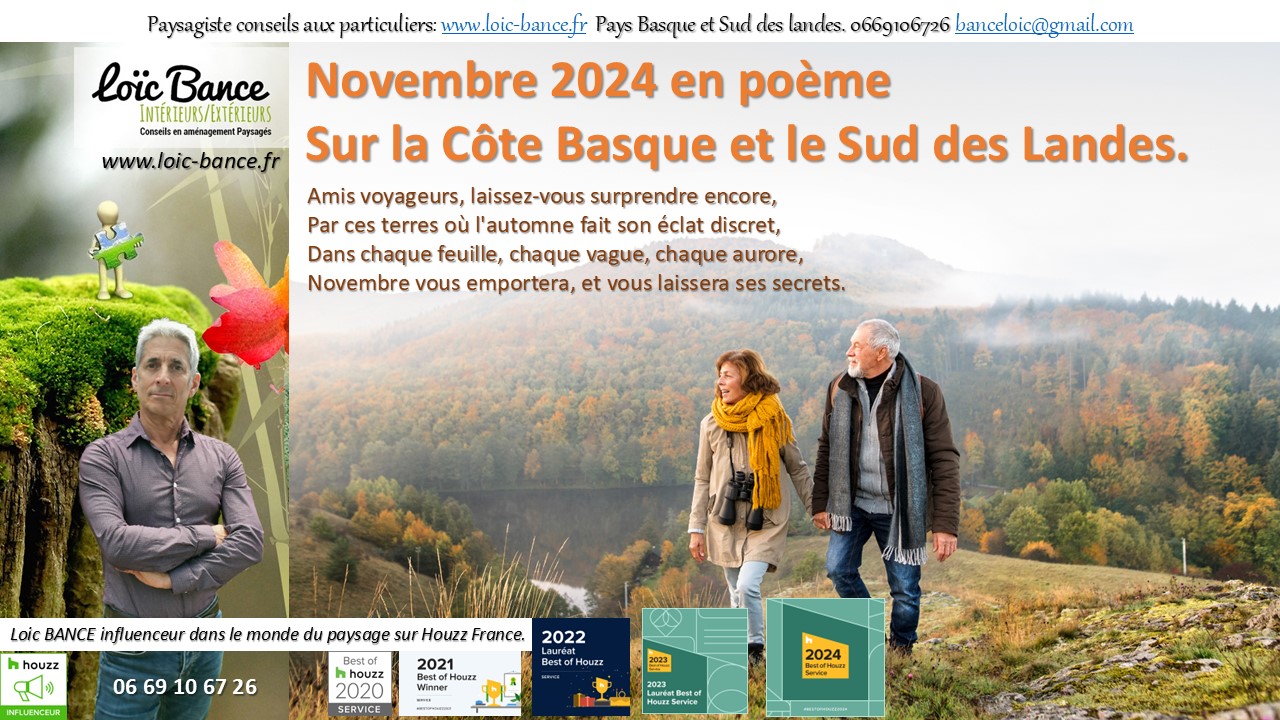 Seignosse paysages, novembre tout en douceur.